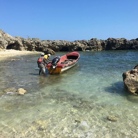 Forever Cottage Robins Bay Ngoại thất bức ảnh