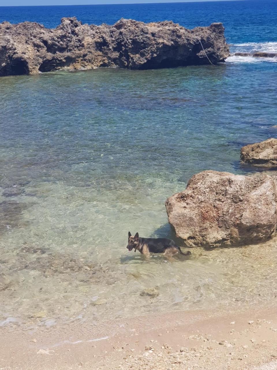Forever Cottage Robins Bay Ngoại thất bức ảnh