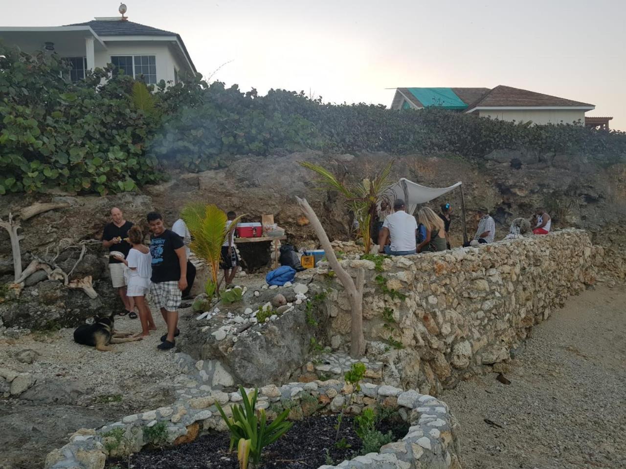 Forever Cottage Robins Bay Ngoại thất bức ảnh
