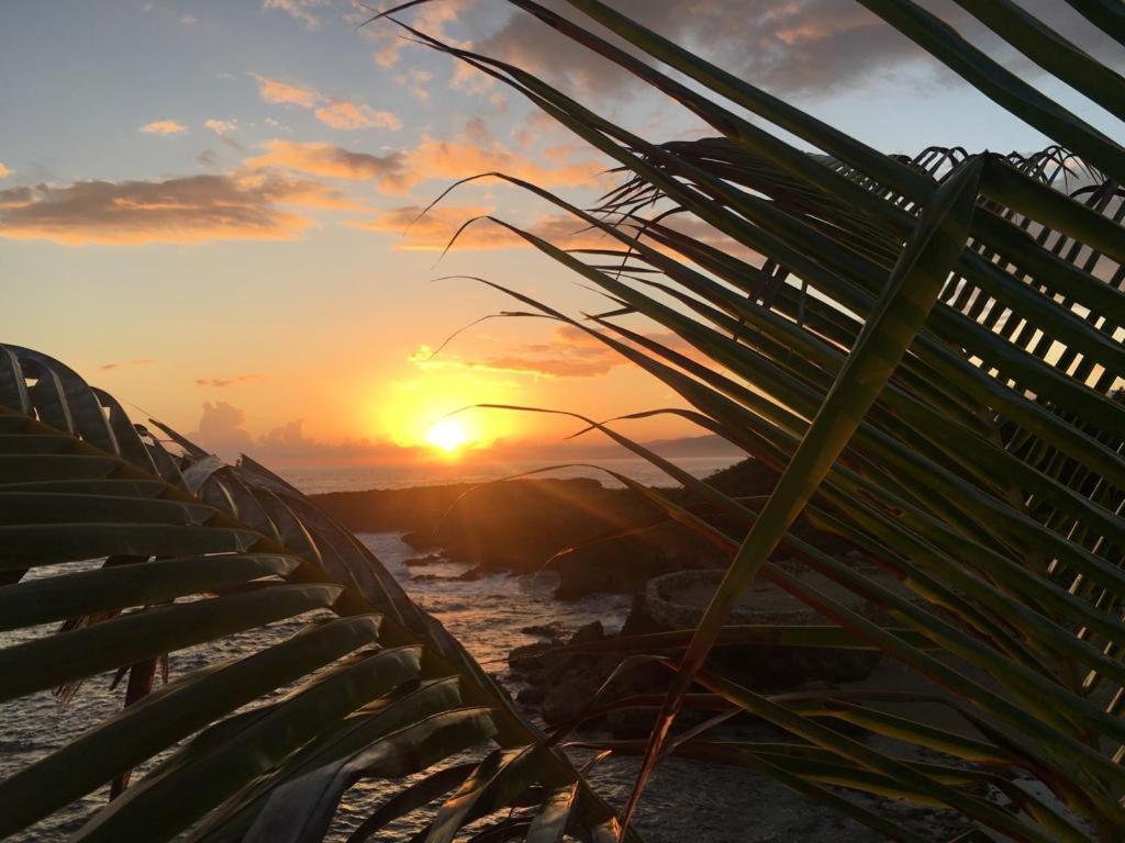 Forever Cottage Robins Bay Ngoại thất bức ảnh
