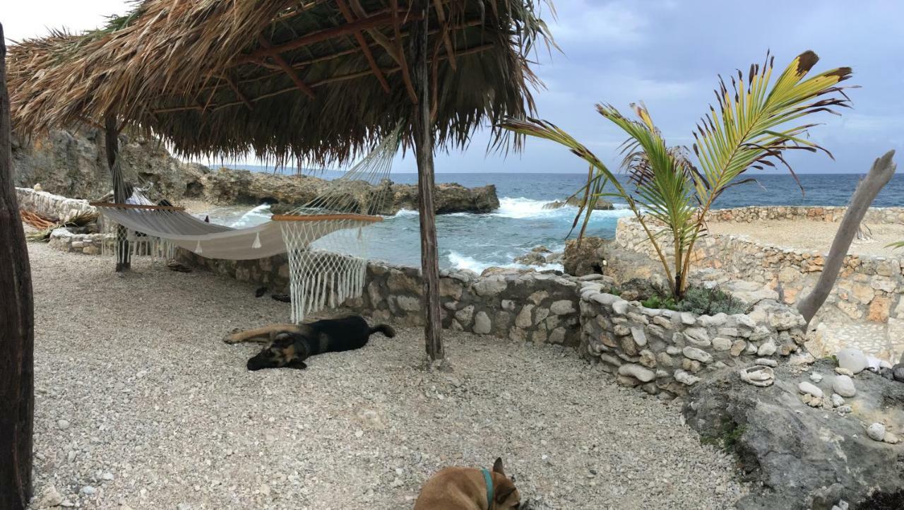 Forever Cottage Robins Bay Ngoại thất bức ảnh