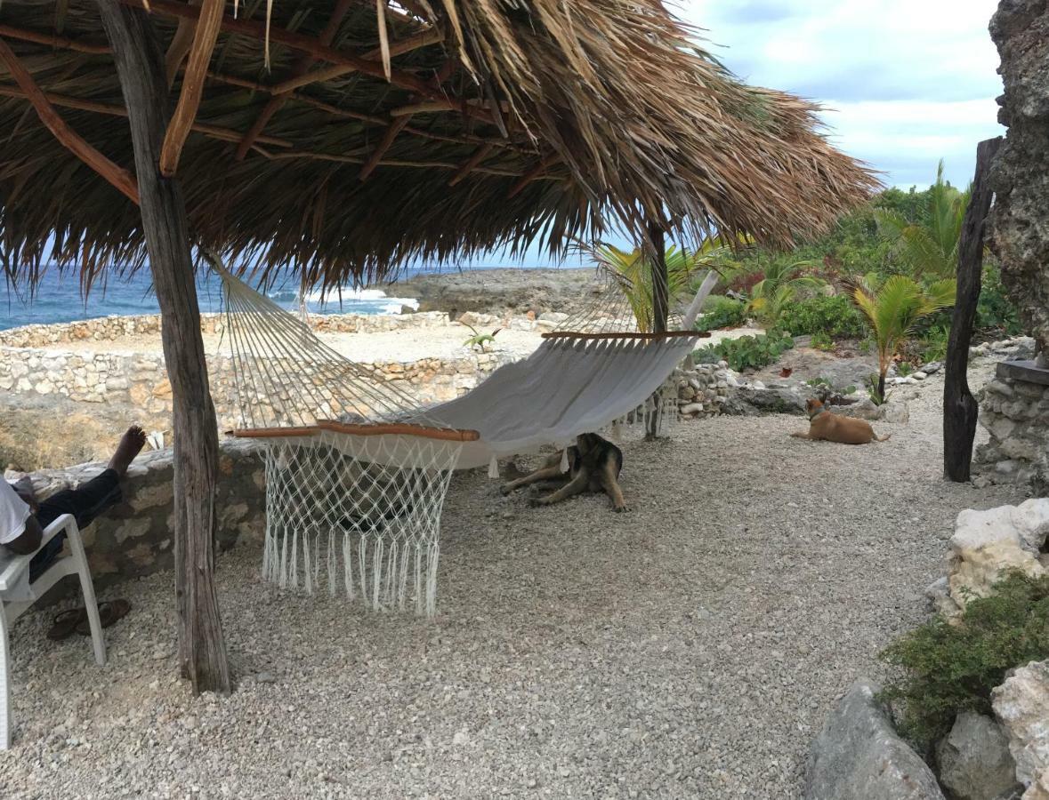Forever Cottage Robins Bay Ngoại thất bức ảnh